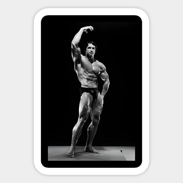 Arnold Schwarzenegger Gym Motivational Sticker by Fit-Flex